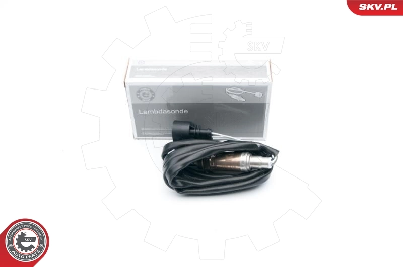 Oxygen Sensor